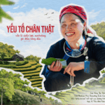 Chị Thông
